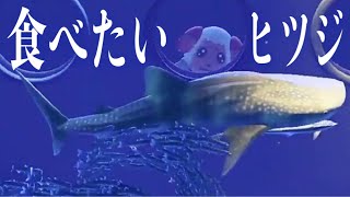 【あつ森】『美味しそう』サメに食欲を傾けるちゃちゃまるを実況する【あつまれどうぶつの森】【アナウンサー】【たいきち】【ゲーム実況】