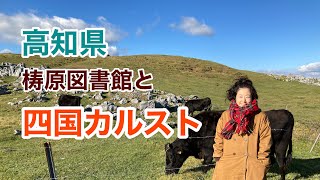 【高知県】雲の上の図書館📚と四国カルストドライブ🚗