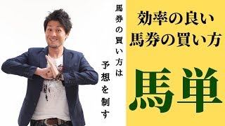 【馬券術】的中率と回収率が見込める馬単で勝つ為の効率の良い買い方