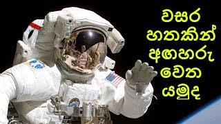 වසර හතකින් අඟහරු වෙත යමුද?