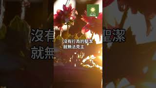 我們若想親近神，就必敬畏祂，以聖潔裝飾敬拜祂