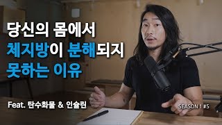 5.탄수화물이 체지방 분해를 막는 원리 간단하게 이해하기(탄수화물과 인슐린)