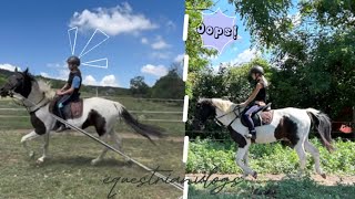 2 napos vlog Zitával❤️ | Equestrian vlogs🩵