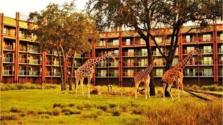 Walt Disney World | Disney's Animal Kingdom Villas - Kidani Village | BGM Loop