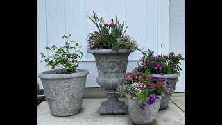 🌹 Spring Unique Stone Planter Update // Daffodil Fail