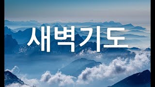 증산제일교회 20250203 새벽기도