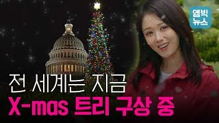 미국 유럽 남미 'X-MAS 트리' 한번에 구경하자