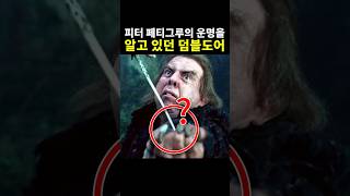 피터 페티그루의 운명을 알고 있던 덤블도어 #해리포터