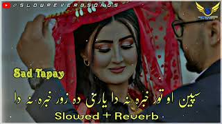 د سپین او تور خبرہ نہ دا ۔ یاری دہ زور خبرہ نہ دا Shah Farooq New Song Slowed and Reverb 2023