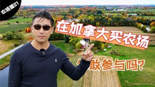 在加拿大买农场和经营农场｜多伦多近郊当农场主【多伦多地产】