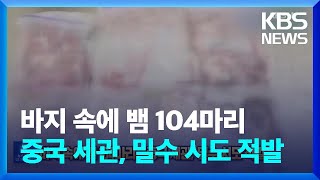 바지 속에 뱀 104마리…중국 세관, 밀수 시도 적발 [잇슈 SNS] / KBS  2024.07.11.