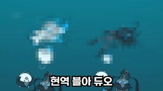 현 시점 최고의 블아들 [냥코 대리가챠]