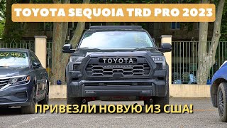 Привезли НОВУЮ SEQUOIA из США! Сколько стоит? Как узнать цену на любой новый автомобиль из США?