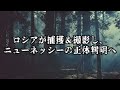 【ゆっくり解説】世界が震えた…ロシアが死骸回収＆撮影し正体判明へ！日本人が発見したニューネッシー はウバザメではなく古代生物の生き残りなのか…【古代生物生存】