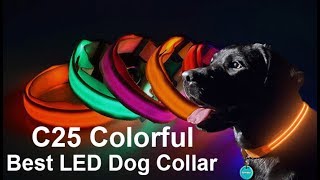 C25 Colorful Best LED Dog Collar | LED Dog Collar