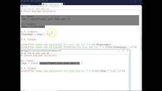 Python Input, Conversion, Calculation and Output Dog Age 2