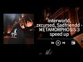 Interworld, zxcursed, Sadfriendd - METAMORPHOSIS 3 // speed up