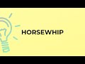 What is the meaning of the word HORSEWHIP?