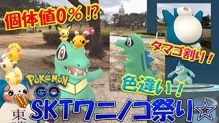 個体値0％ワニノコ出現！？SKT色違いワニノコ祭りコミュニティデイday！【ポケモンGO】