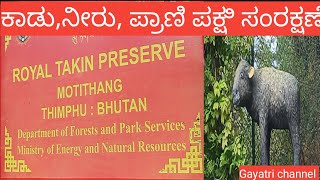 National animal Royal Takin how to preserve in Bhutan.