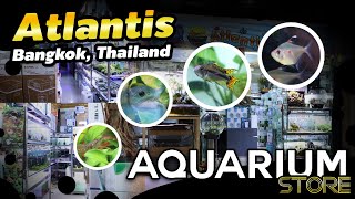 ร้าน Atlantis : Aquarium store in Bangkok Thailand