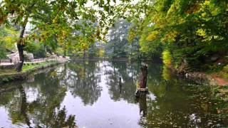 Atlas - Esenni Cvetia (Атлас - Есенни цветя), Atlas - Autumn flowers