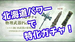 【シノアリス】前衛特化ガチャ物理武器ピックアップ【55連】