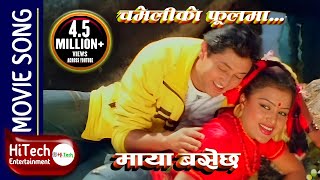 Chameliko Phoolma | Maya Basechha Nepali Movie Song | Rajesh Hamal | Rekha Thapa | Nawal Khadka