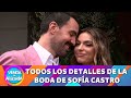 Los detalles de la boda de Sofía Castro | Programa 2 diciembre 2024 PARTE 1 | Venga la Alegría