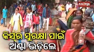 Over Thousands of Tribal parents across Odisha gathered at KISS in Bhubaneswar | Kalinga TV