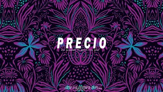Aya Nakamura Ft Beele | PRECIO | Afrobeat Dancehall Instrumental 2020 Afrobeat Instrumental