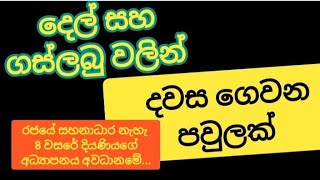 ප්‍ර ති භා news #293# මරණාධාර සමිතියෙන් ලැබෙන මුදලින් ඔයාල හොදින් ඉන්න. පියා සිය දිවි නහ ගන්න යයි.