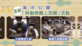 介紹香港海洋公園與動物親上加親