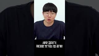 새우까는 법 제대로 알려드립니다