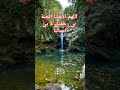 سبحان الله وبحمده سبحان الله العظيم 🌷