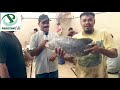 palla fish 30 oct 2021 abdul manik fish center musa colony pakistan tv