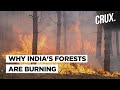 Uttarakhand is Burning: Why Is India Witnessing So Many Forest Fires?