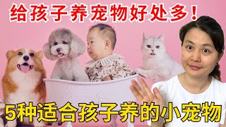 孩子想要养宠物？别再拒绝了！给孩子养宠物原来好处这么多！ 总有一款适合你家的宠物！