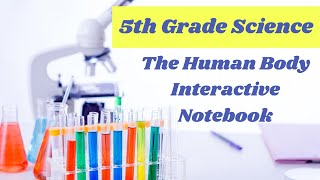 The Human Body Interactive Notebook Set up // 5th grade Science eLearning lesson