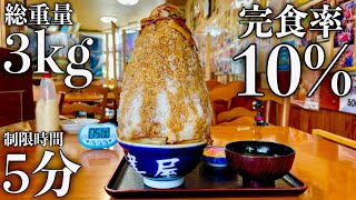 【大食い】10年間で完食率1割の『富士山盛り肉丼（総重量3kg）』を制限時間5分で早食いチャレンジした結果…【デカ盛り】