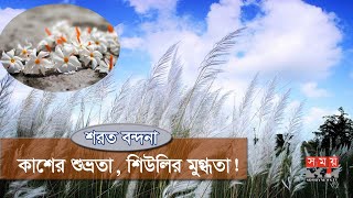 শরতকালে নীল আকাশে শুভ্র মেঘের খেলা | Autumn | Beautiful Bangladesh