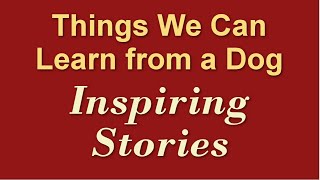 Things We Can Learn from a Dog | Inspiring Stories