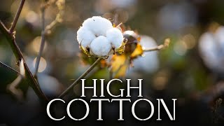 High Cotton