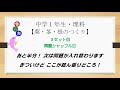 ≪中1理科≫葉・茎・根のつくり②～光合成～【絶対暗記⁂4回繰り返して覚える！一問一答】