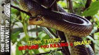 Think twice before you killing a snake - one minute survival tip