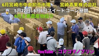 [98506宮崎青果(株)]6月宮崎中央卸売市場の出荷農産物紹介動画です