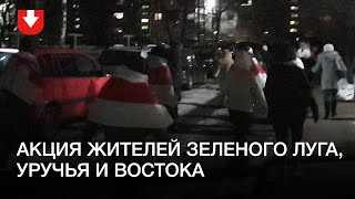 Акция жителей зеленого луга, уручья и востока вечером 27 декабря