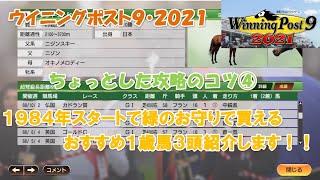 ウイニングポスト９・２０２１【ちょっとした攻略のコツ④】１９８４年スタートで買える緑のお守りの１歳馬３頭！紹介します。