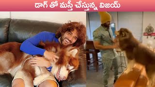 Vijay Devarakonda Playing With Dog | Cute Video Of Rowdy Boy Vijay | Rajshri Telugu