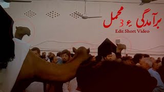 Baramdagi 3 mahmal | Edit Video 😭 | #shortvideo #shorts #mahmalbibizainab #reels #mahmal #edit video